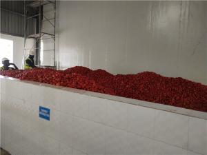 Wholesale SGS Tomato Processing Line 2000T/D Concentrating Ketchup Processing Line from china suppliers