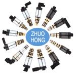 DC 12v Air Compressor Control Valve for DENSO 5SE09C/5SE12C/6SEU16 E0007A Auto
