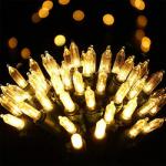 100 LEDs Multi Color Green Wire Christmas Lights Set Outdoor Indoor Colored