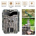 Dual - Lens Trail Camera for Wildlife 0.25s Capture Speed 30MP Crystal Image