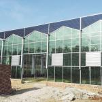 Multi-Span Hollow Roof Glass Greenhouse for Flower Growing US 20/Square Meter