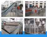 Large Capacity Plastic Pp Pe Film Washing Line Free Spare Parts Low Noise
