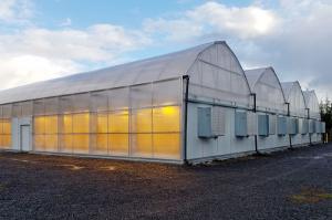 Wholesale Agricultural Tunnel Light Deprivation Greenhouse For Herb from china suppliers