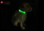 Illumination Glowing Collar Dog LED Light Dog Flashing Safety Light Weather