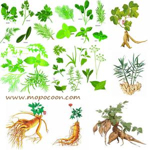 Wholesale Lesser Galangal Rhizome Extract from china suppliers
