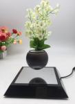 square mirror base magnetic floating levitate air bonsai flower plant