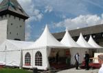 Luxury Fire Resistant 50 Guests Canopy Party Tent Shop Space Marketing Point