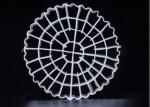 High Speed Delivery Aeration Technology MBBR Carrier Biochips Municipal Water