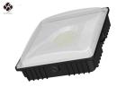 40W - 120W LED Canopy Light Nitelus Quality Driver IP67 For Gas Station
