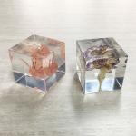 Wholesale cheap paper weight custom with real dry flowers resin paperweight