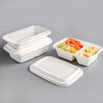100% Compostable Food Container Sugarcane Lunch Box Bamboo Storage Boxes & Bins