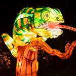 Indoor Tradition Colorful Chinese Light Lanterns For Lanterm Exhibition