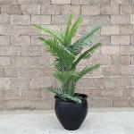 Fiber Clay Flower Pot Small Size Bowl Planter Box For Indoor Outdoor Home Garden