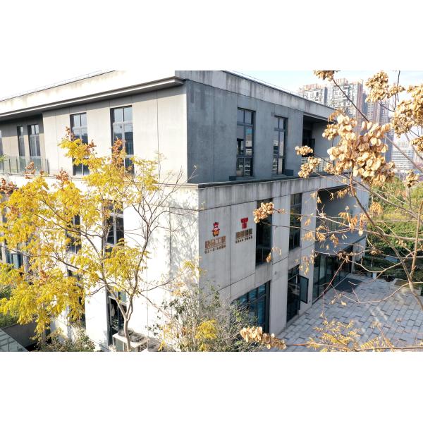 Encoder Flexible Coupling Fixed Type Intermediate Hanger Shaft for Cement Conveying