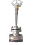 SS304 CF8 DN50 Low Temperature Socket Weld Globe Valve