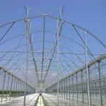Agriculture Polycarbonate Sheet Greenhouse For Tomato Farming
