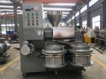 Peanut Oil Mill Press Machine Small Scale 100kg / H 4kw