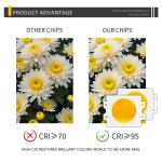 Customized Power LED 300W Bi-color Warm + Cold White 4055 Bicolour Two CCT CRI95