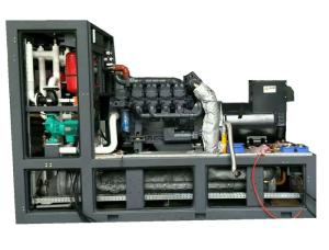 Wholesale 280KVA 220KW Biogas Electric Generator Stable Performance Easy Maintenance from china suppliers