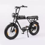 Aluminum Alloy 20 Inch Fat Tyre Electric Bicycle ebike 48V 1000W Vintage Motor
