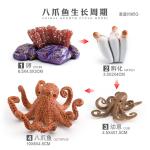 Squid Octopus Life Cycle Figure Model Toy For Boys Girls Kids