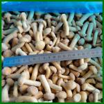 Frozen Pholiota Nameko Mushroon Whole