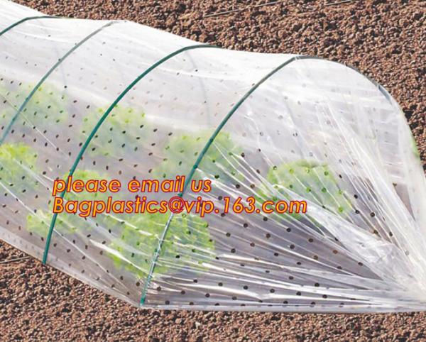Transparent Low Tunnel Film Perforated For Culture Of Seedling Maturing