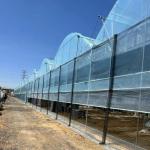 JX-A0022 Commercial Greenhouse with Multi-Span Plastic Tunnel Film Design