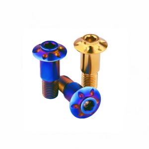 Wholesale M10 Titanium Bolts Screws Electric Motor Kickstand Bracket Custom Size ISO9001 from china suppliers