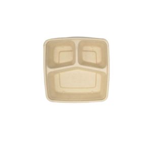 biodegradable disposable paper pulp takeaway food container lunch box