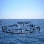 Blue Yellow Floating Fish Cage Butt Fusion / Bracket Connection For Sea Farming