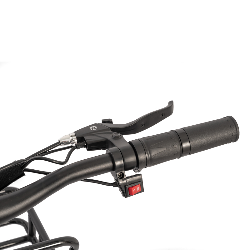 Food Electric Fat Tire Delivery Tricycle E-bike with 48V 500W Motor Power and Disc Brake
