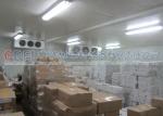 400 Tons Fish Cooling Freezer Cold Room -25 Degree 150MM PU Insulation Panel