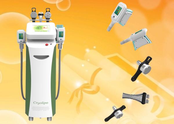 RF Cavitation Cryolipolysis Slimming system nbw-c325 For weight loss criolipolis