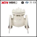 Industrial Cast Steel Flanged Swing Check Valve for Shipping Cost and Delivery