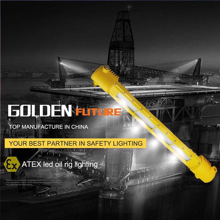 2021 New DL618 ATEX  40W 80W Offshore Oilfield  Explosion -Proof Light  Anti-hazard Lighting