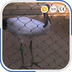 Wholesale AISI316 1.2 mm 30 mm Eye Size X-TEND Woven Aviary Rope Mesh Netting from china suppliers