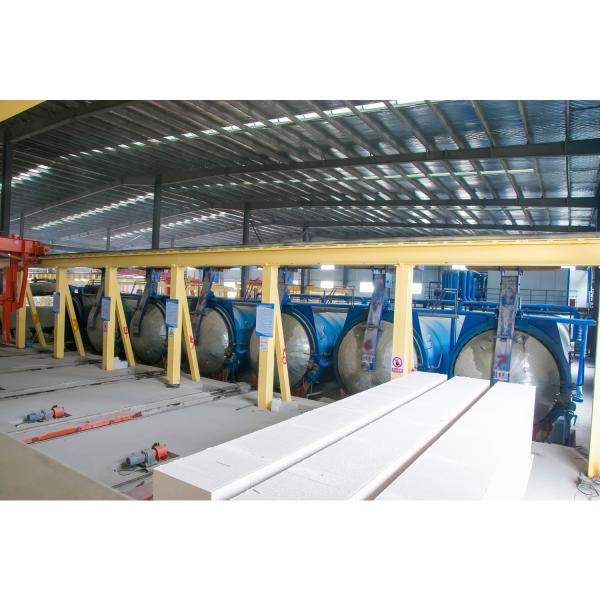 AAC Autoclaved Aerated Concrete Block Production Line Autoclave Mobile Concrete