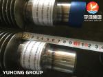 HFW Finned Tube ASTM A213 T12 Alloy Stainless Steel Tube TP304 Fin for Power