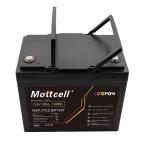 Long Lasting LiFePO4 Industrial Lithium Battery 12V Lithium Iron Phosphate