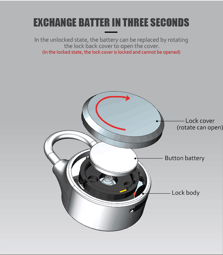 OEM Acceptable Led Light Display Keyless Smart Bluetooth Pad Lock
