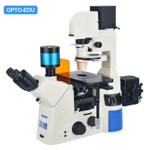 Wholesale Opto Edu A16.1097 Lcd Touch Screen Fluorescence Stereomicroscope from china suppliers