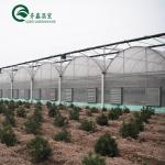 Transparent Beach House Tent Greenhouse with Hot Galvanizing Aluminum Steel