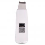 Wholesale Best Fortune Personal Care Beauty Equipment BF1203 Skin Scrubber