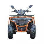 300CC Four Wheeler ATV 4x4 Quad Bike Buggy UTV for Off-Roading Maximum Speed
