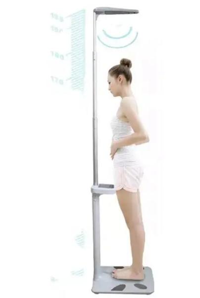Factory Price Digital Medical Body Fat Analyzer BMI Ultrasonic Weighing And