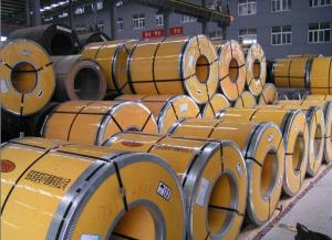 Building ASTM A240 304 Stainless Steel Coil cold rolled / hot rolled Steel Coils