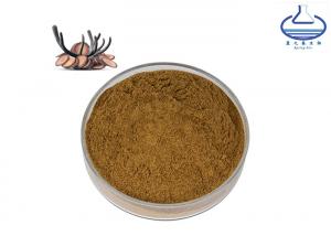 Wholesale Food Grade L Ergothioneine Powder , ISO9001/GMP Deer Antler Velvet Extract from china suppliers