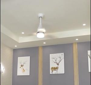 Wholesale Modern Style 75w ABS Blade Ceiling Fan from china suppliers