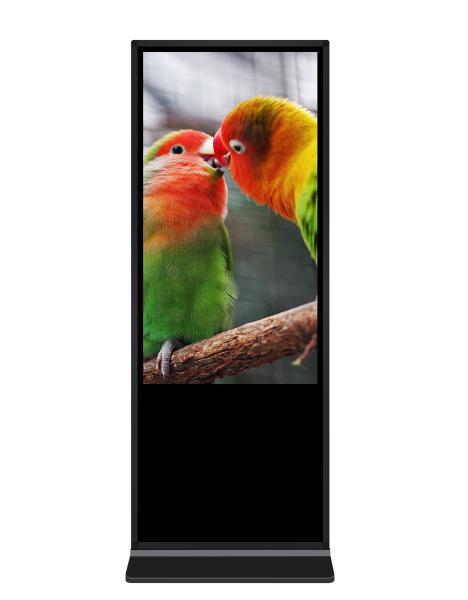 55 Inch Infrared Touchscreen Large Size Floor Stand Digital Signage Advertising